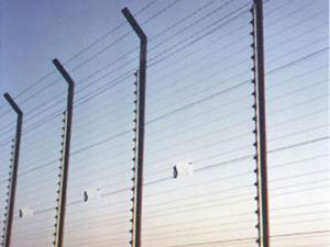  Oval Wire, with Zinc Coating 