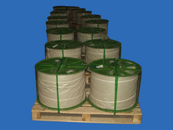  Hot Dipped Galvanized Wire for Stay Wire  