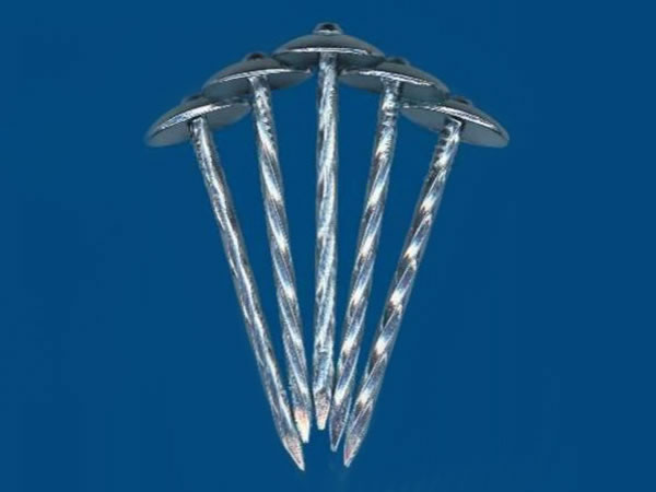  Roofing Nail without Rubber 
