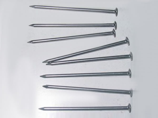  Common Nail 