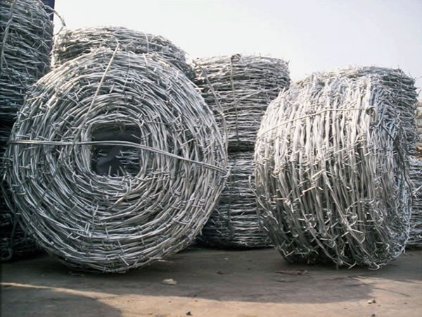  Barbed Wire 